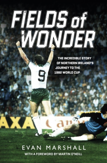 Cover of Fields of Wonder : The incredible story of Northern Ireland's journey to the 1982 World Cup